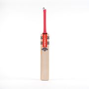 CA Gold 10000 English Willow Cricket Bat – Premium Edition 2025