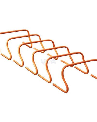 TRAINING HURDLES