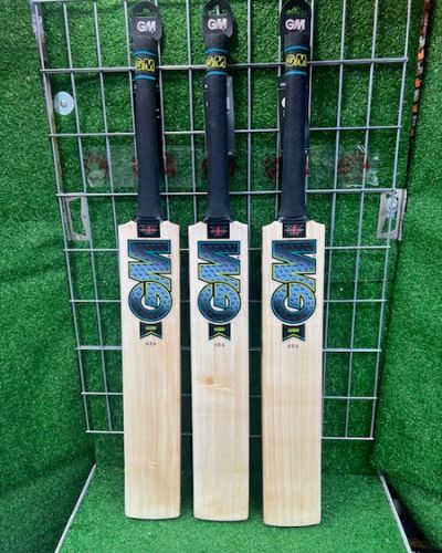 GM Aion DXM 606 English Willow Cricket Bat