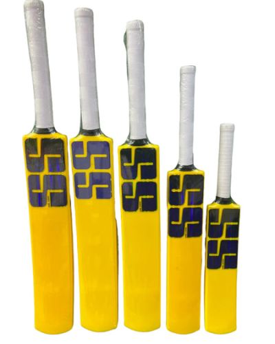 SS Plastic Cricket Bat
