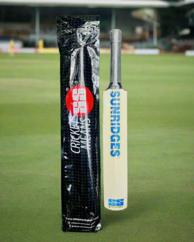 SS DK Mini Signature Autograph Bat