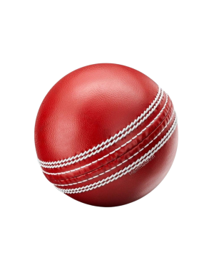 Cricket Ball – Precision and Durability for the Perfect Game