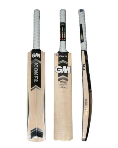 GM Kashmir Willow Bat – Affordable & Long-Lasting Performance
