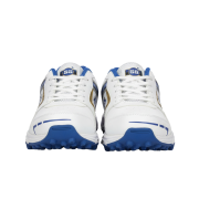 SS Cricket Shoes – Ideal for Professional and Amateur Cricketers