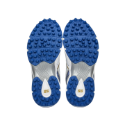 SS Cricket Shoes – Ideal for Professional and Amateur Cricketers