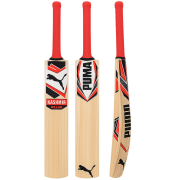 Puma Kashmir Willow Bat for Beginners & Club Players
