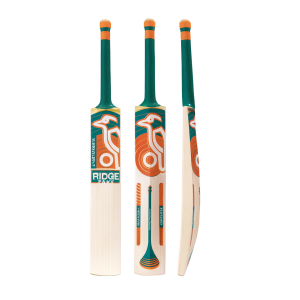 Sky Blaster Affordable Kashmir Willow Cricket Bat
