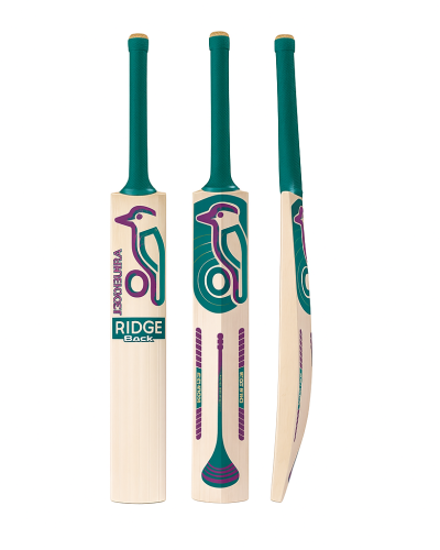 Sky Blaster Affordable Kashmir Willow Cricket Bat