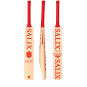 Sky Blaster Pro Kashmir Willow Bat for Leather & Tennis Ball