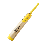 Children’s Cricket Bat – Lightweight & Safe for Kids