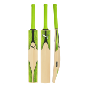 Puma Kashmir Willow Bat for Beginners & Club Players