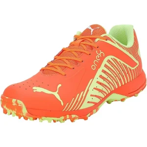 PUMA Cricket Shoes for Turf & Matting – 22 FH Rubber