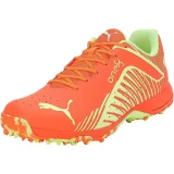 PUMA Cricket Shoes for Turf & Matting – 22 FH Rubber
