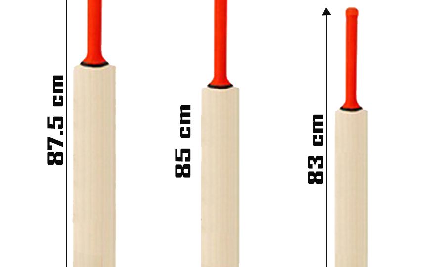 The Right Cricket Bat for You: Sizes, Brands and Materials